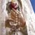 Bashar Alsana's profile image