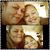 Chrissy Collins's profile image