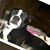 Vickie Ray's profile image