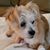 Terry Byers's profile image