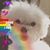 Jessica Adler Coro's profile image