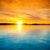 Judy Miller's profile image