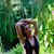 Kat Corazza's profile image