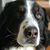 Donna Reeder's profile image