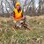 Jarod Hendricks's profile image