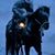 Julian Garcia Diaz's profile image