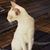 Jody Gressett's profile image