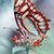 Debbie Janoske's profile image
