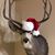 Jeffrey J Meyer's profile image