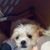 Leigha Cassarella's profile image