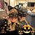 Christy Coon Henderson's profile image