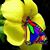 Roni Denson's profile image