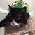 Christy Hendricks's profile image