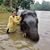 Smruti Kaujalgi's profile image