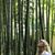 Tracy Chesney's profile image