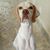 Horacio Haroldo's profile image