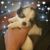 Kellie Wakehouse-Gustafson's profile image