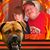 Daniel Armstrong's profile image