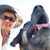 Nazli Nomanbhoy's profile image