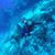 Kristin Bush's profile image
