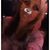 Suzette Spencer Solet's profile image