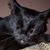 Sandy MacNiven Warren's profile image
