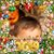 Joyce Luebrecht's profile image