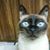 Alana Rogers's profile image