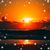 Maryann Deruelle's profile image
