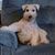 Cindy Paxton's profile image
