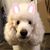 Connie Hanner's profile image