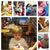 Cynthia Toftness Hutchins's profile image