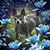 Karen White's profile image