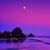 Kelly Grimshaw's profile image