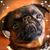 Barbara Bell Powers's profile image