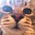 Rachel Dunkin's profile image
