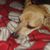 Kimberly Hayes Aflague's profile image