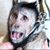 Ed Lloyd's profile image