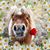 Reba Norman's profile image