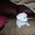 Jeanette Moll's profile image