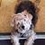 Devon Michelle Jarrell's profile image