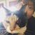 Shary Kellison's profile image