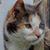 Kim Zirbel Messbauer's profile image