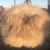Lacy Michall's profile image