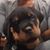 Durelle Suzanne Ali's profile image