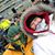 Dawn Roese-Shogren's profile image