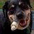 Jennifer Wesley Rohan's profile image