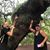 A Nicole Morici's profile image