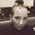 Tracy Lunczynski's profile image