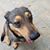 Susan Stefura's profile image